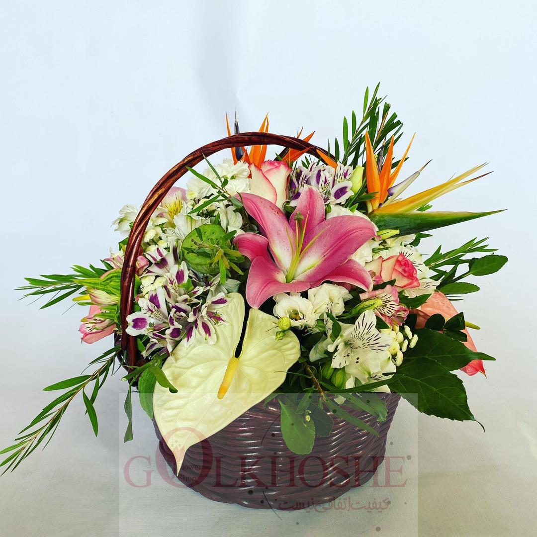 WhatsApp Image 2021-07-17 at 15.36.15