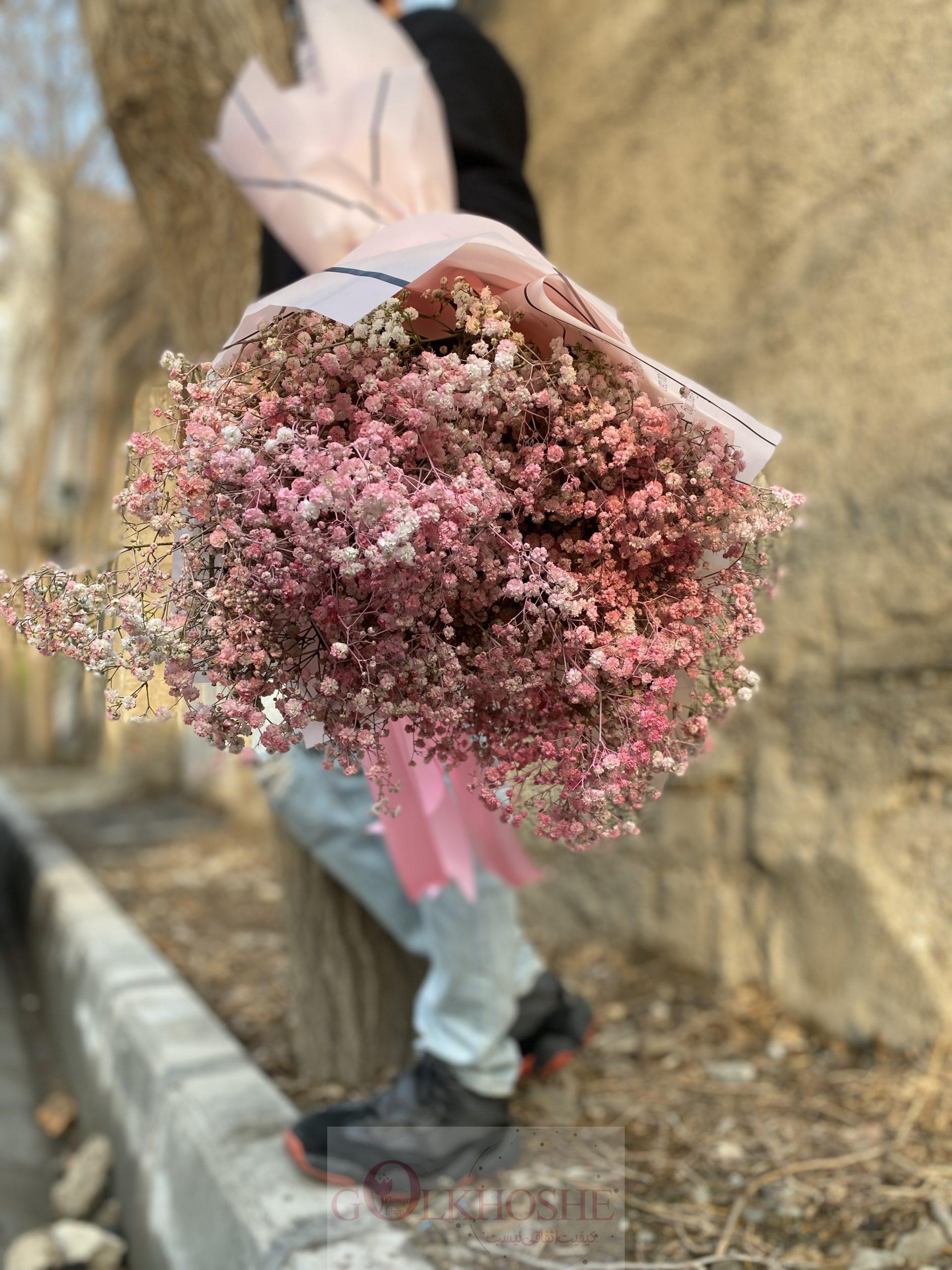 18244527-E765-4E50-A5A0-81B9A92E4129