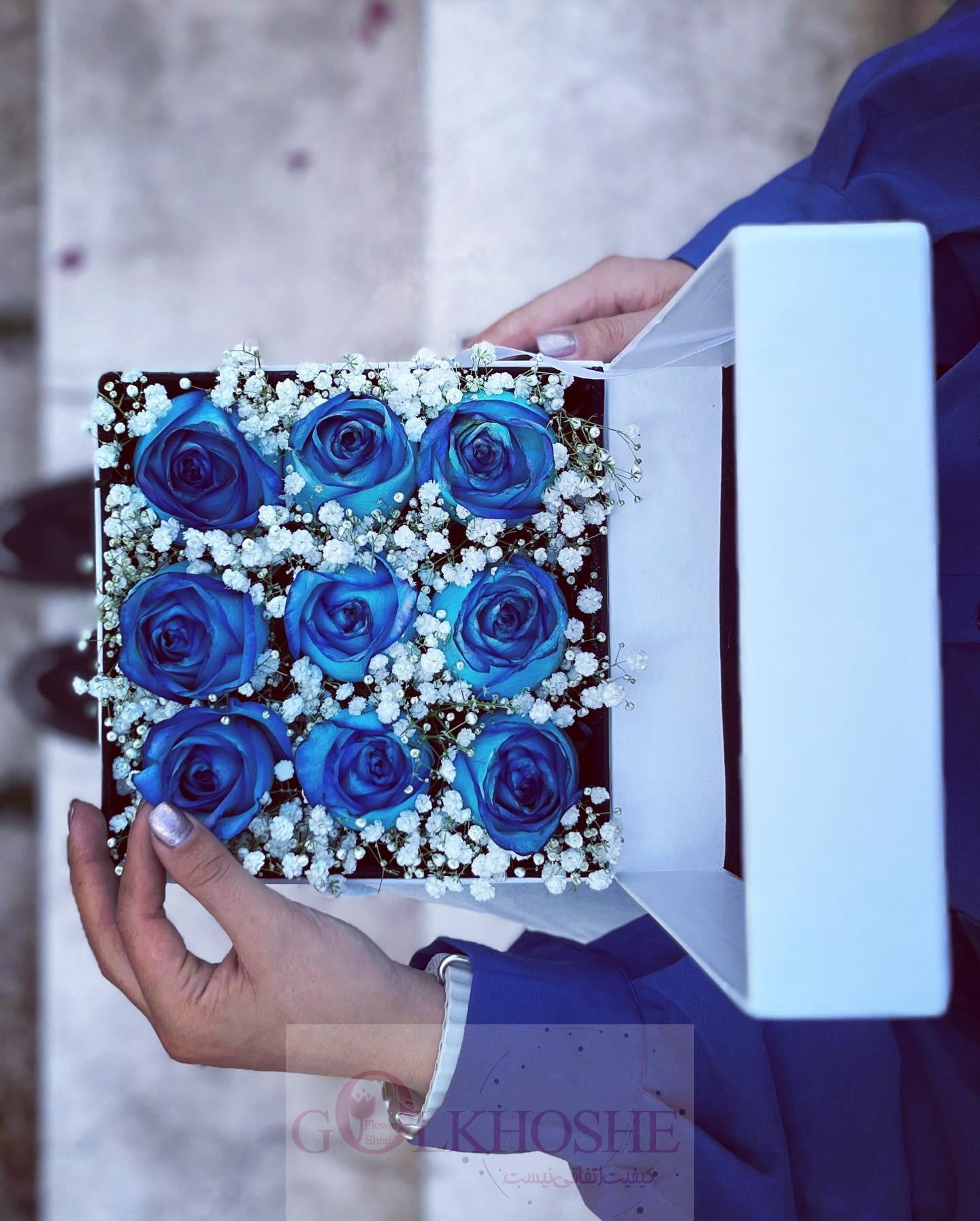 7652828E-F7C3-4400-A682-B5B44BE4E412