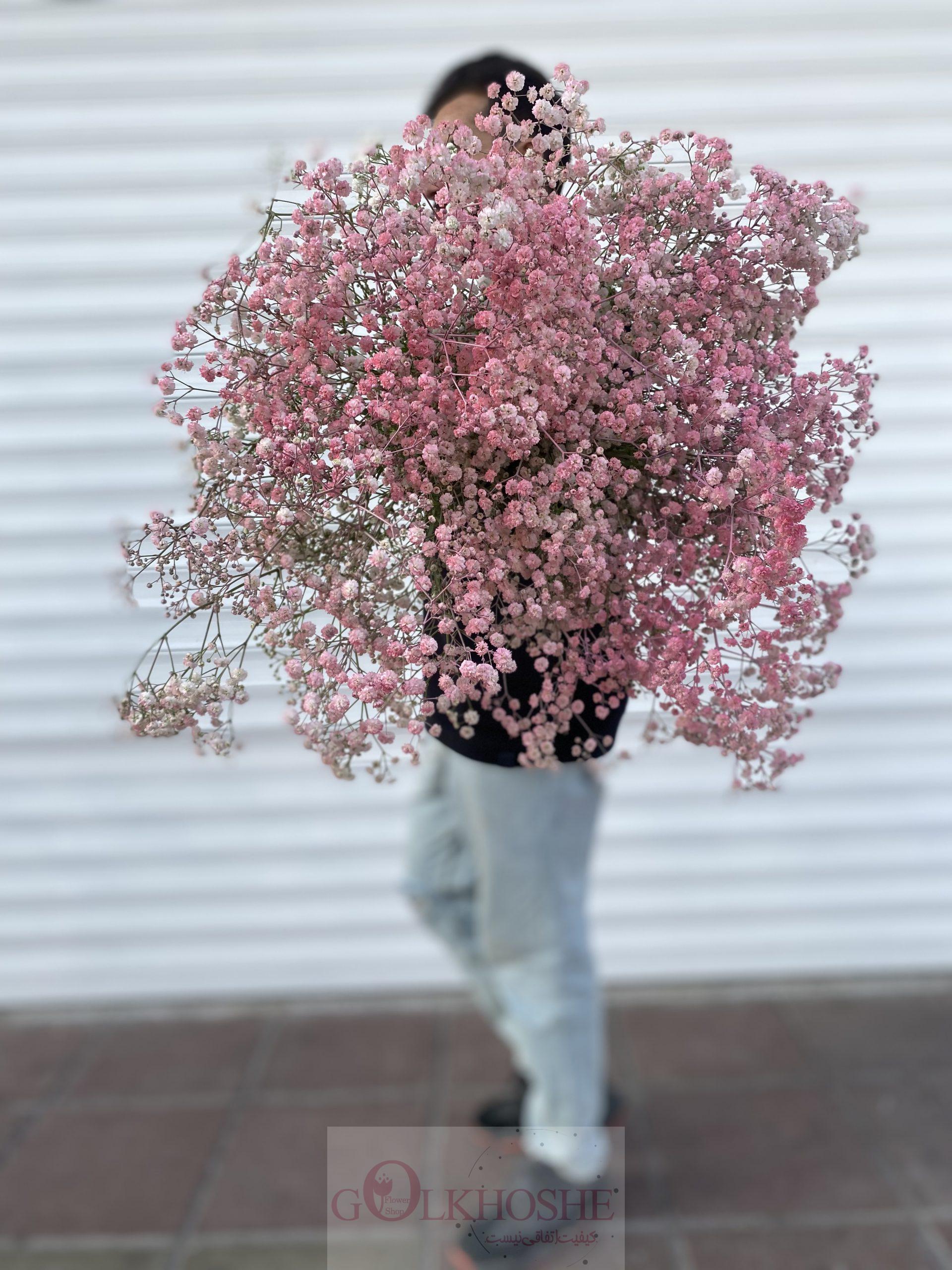 C72DF282-A460-47D3-918D-6F1D2A8300AB