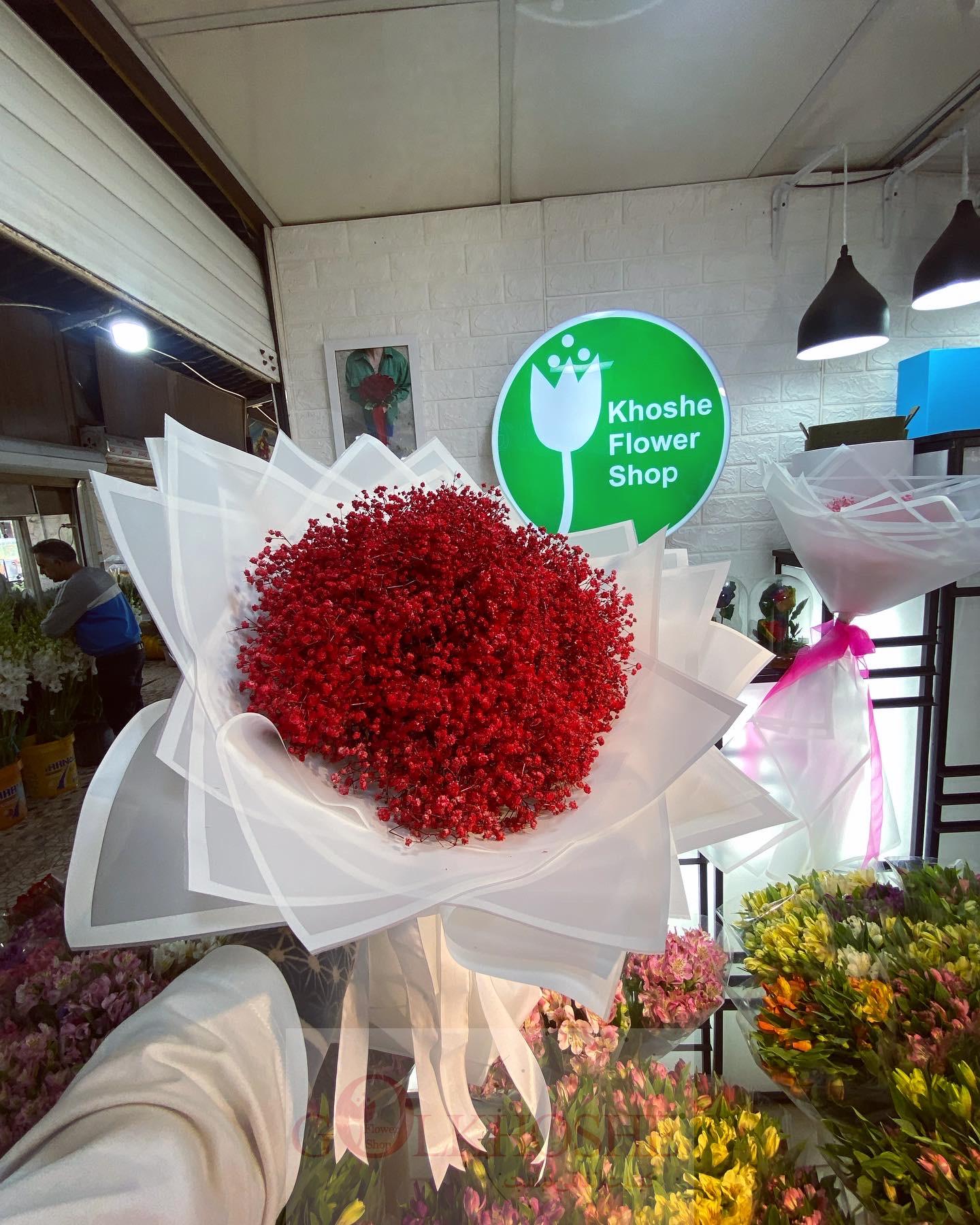 252DB01A-B258-48D8-81E9-C3CFF91259AA